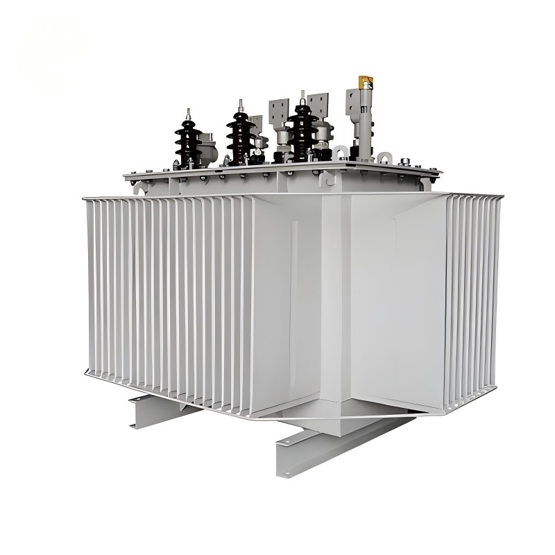 S20 Series High-Efficiency Oleum immersus Power Transformer 10kV